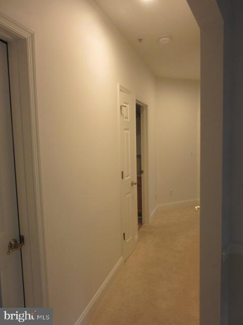 11 ROSEWOOD COURT 101