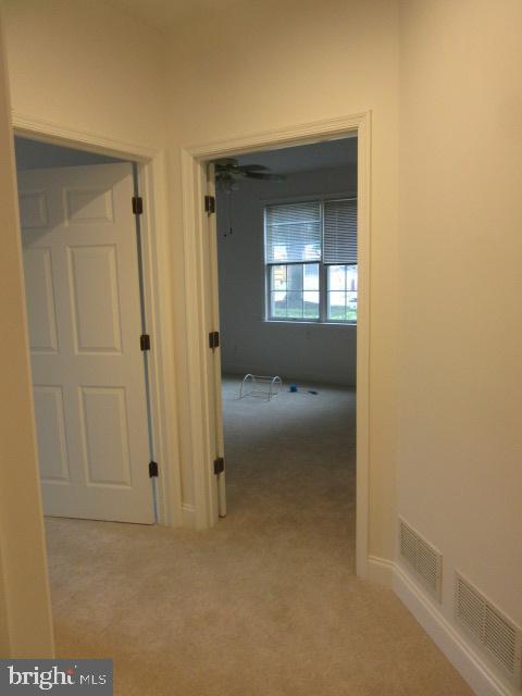 11 ROSEWOOD COURT 101