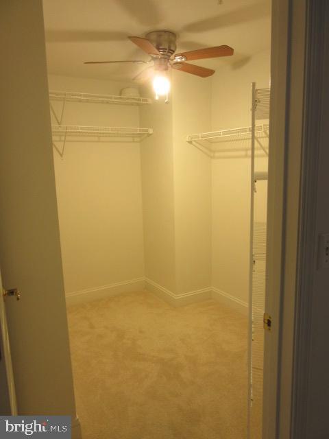 11 ROSEWOOD COURT 101