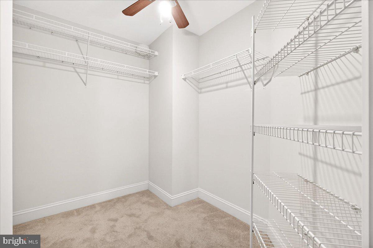 11 ROSEWOOD COURT 101