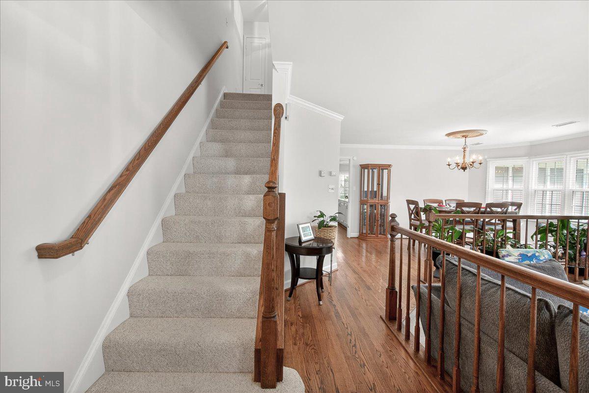 815 DUNBROOKE COURT