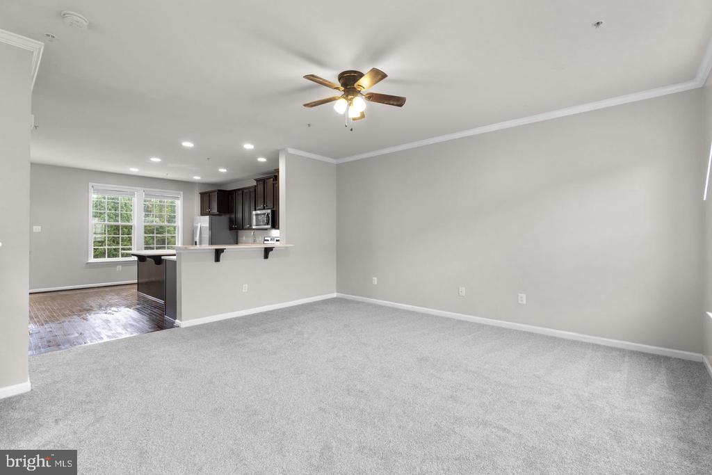 13 LEEKYLER PLACE