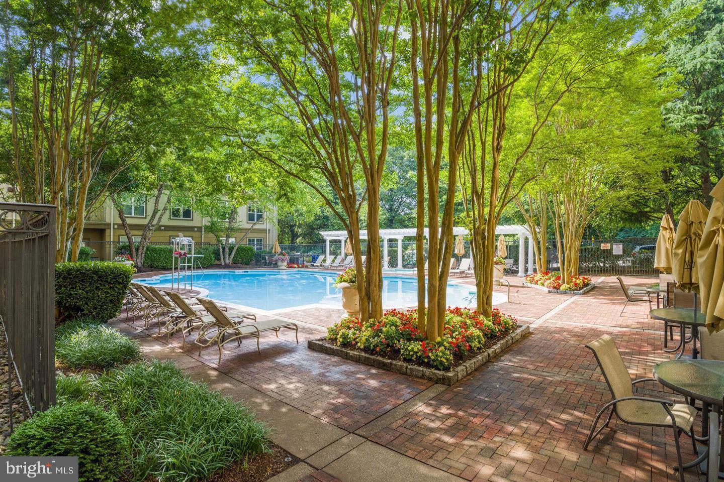 11800 Old Georgetown #1204