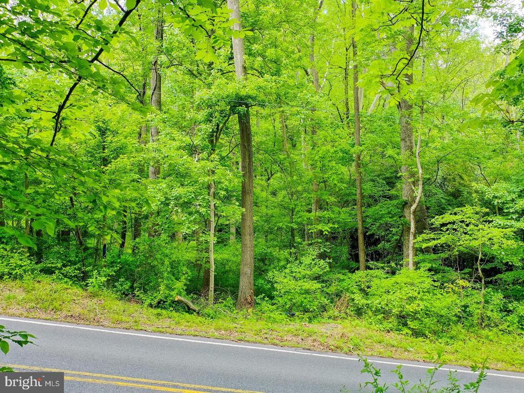 18900 MINK HOLLOW ROAD