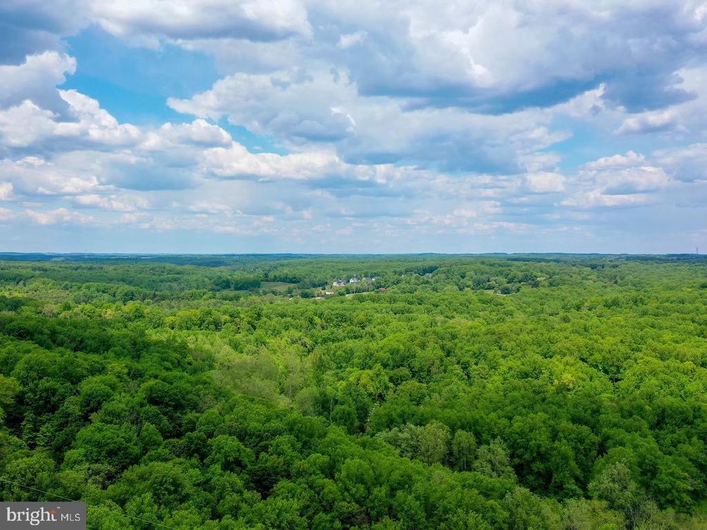 18900 MINK HOLLOW ROAD