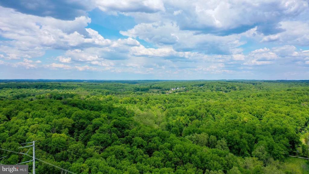 18900 MINK HOLLOW ROAD