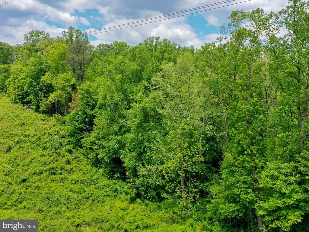 18900 MINK HOLLOW ROAD