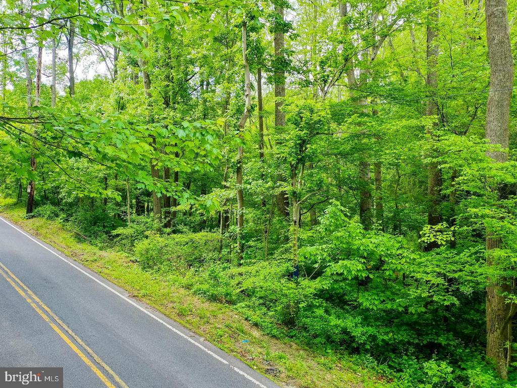18900 MINK HOLLOW ROAD