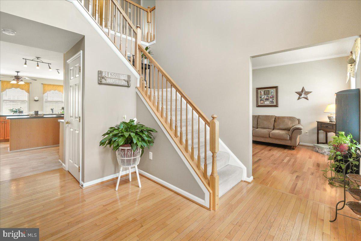 18 Farragut Dr
