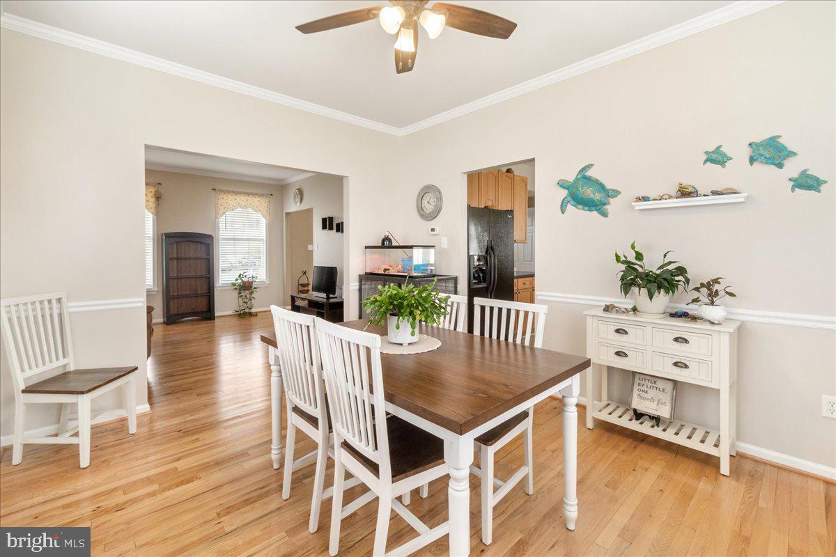 18 Farragut Dr