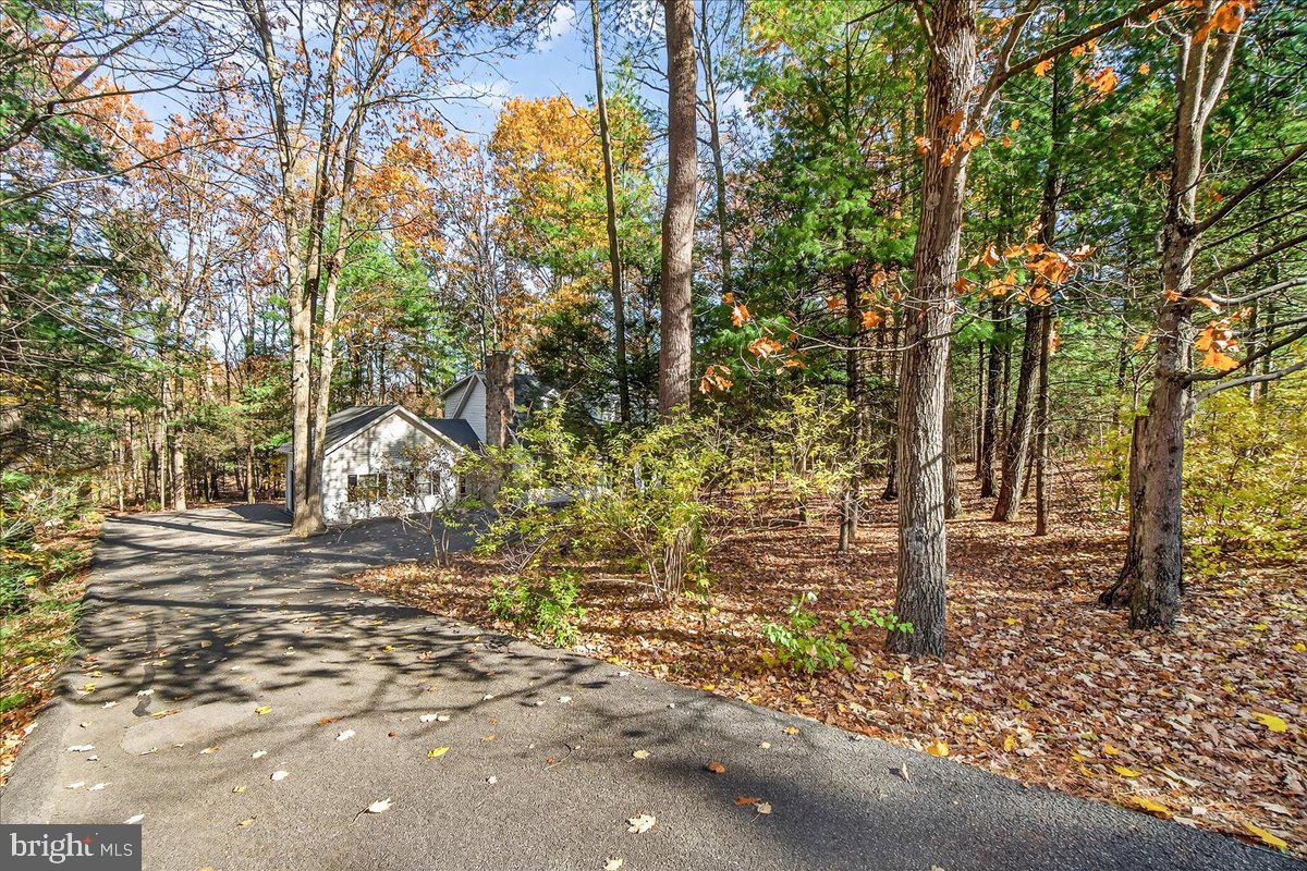 19 WHITE PINE DRIVE