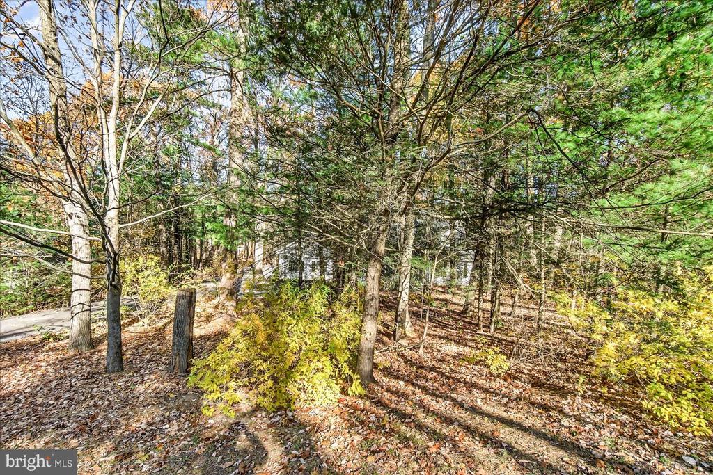19 WHITE PINE DRIVE