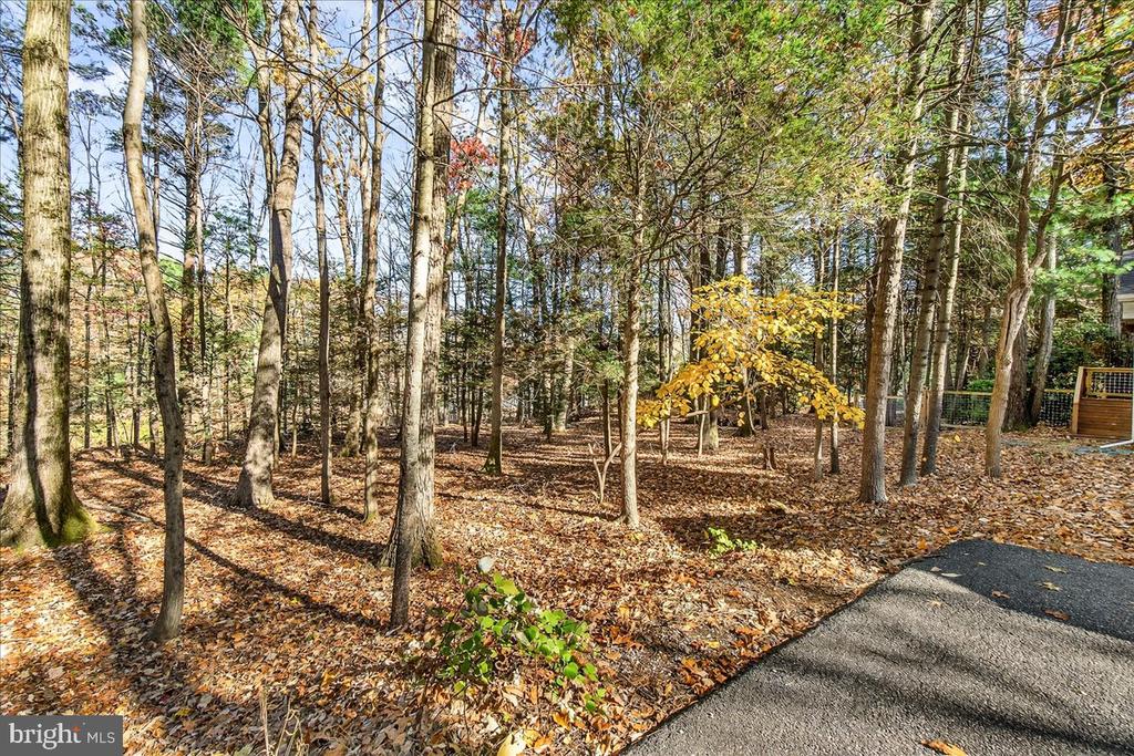 19 WHITE PINE DRIVE