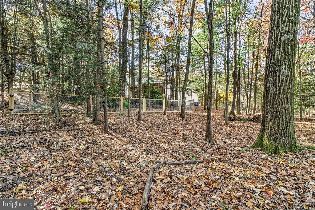 19 WHITE PINE DRIVE