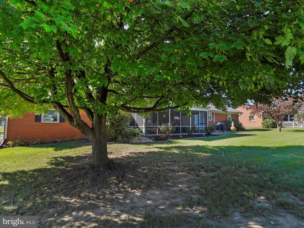 315 Wayburn Street