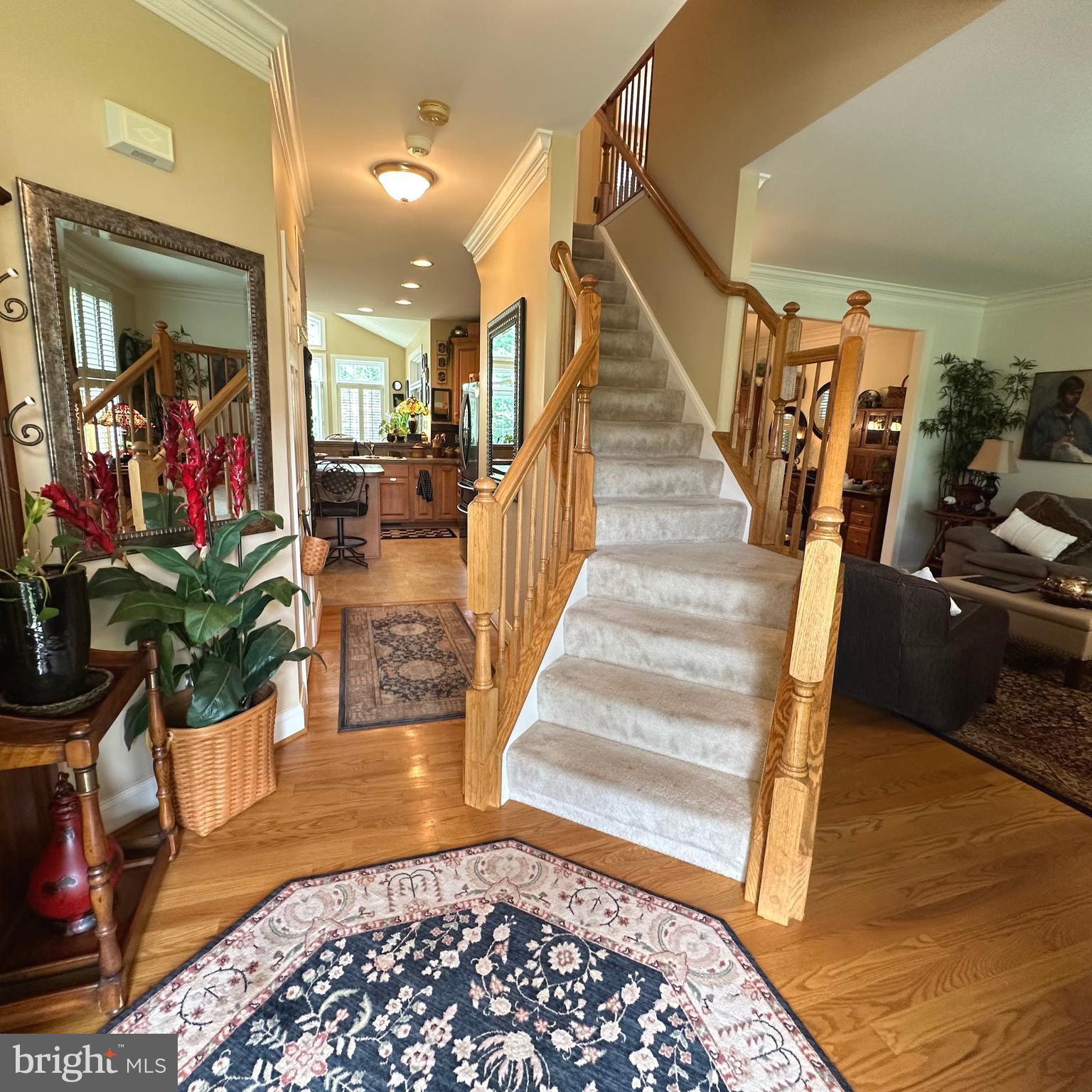 1736 CARRERA DRIVE