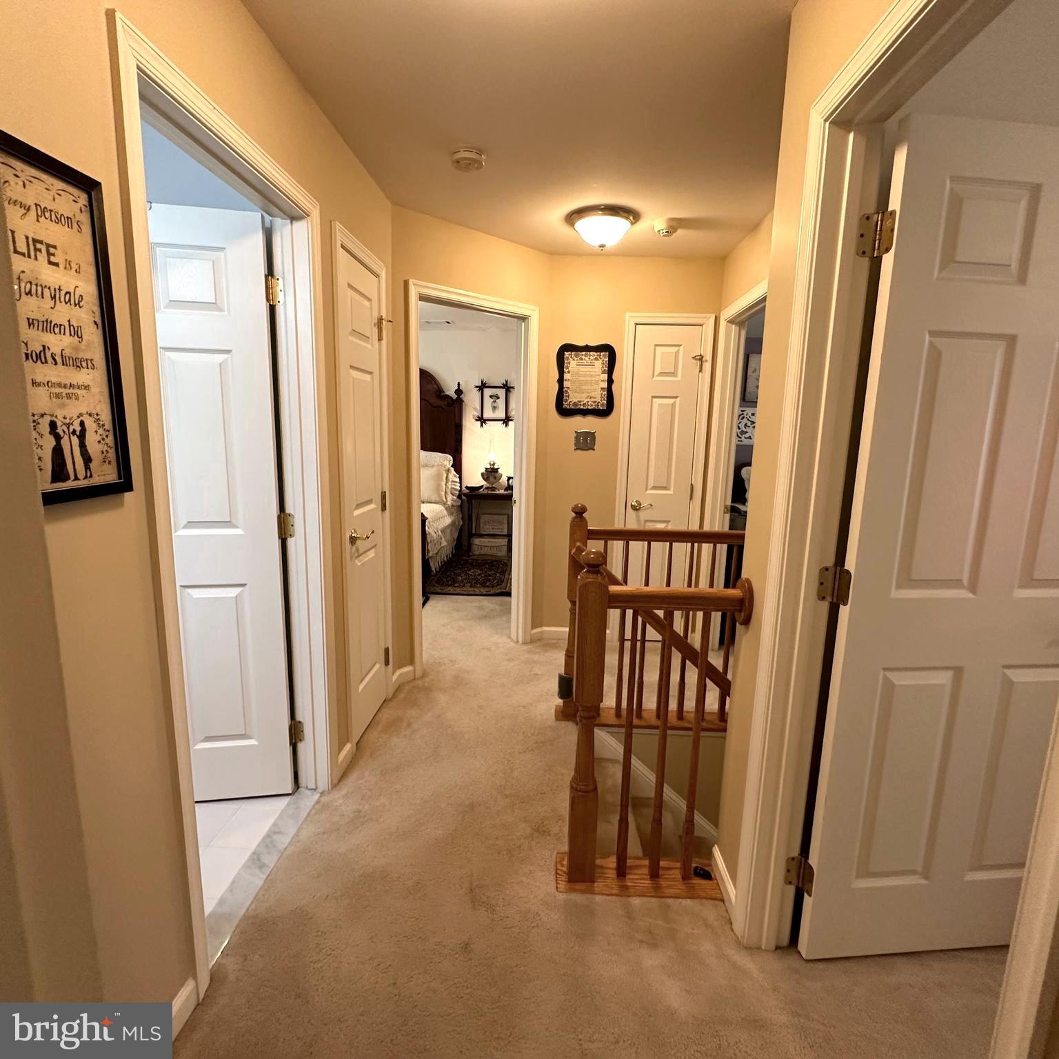 1736 CARRERA DRIVE