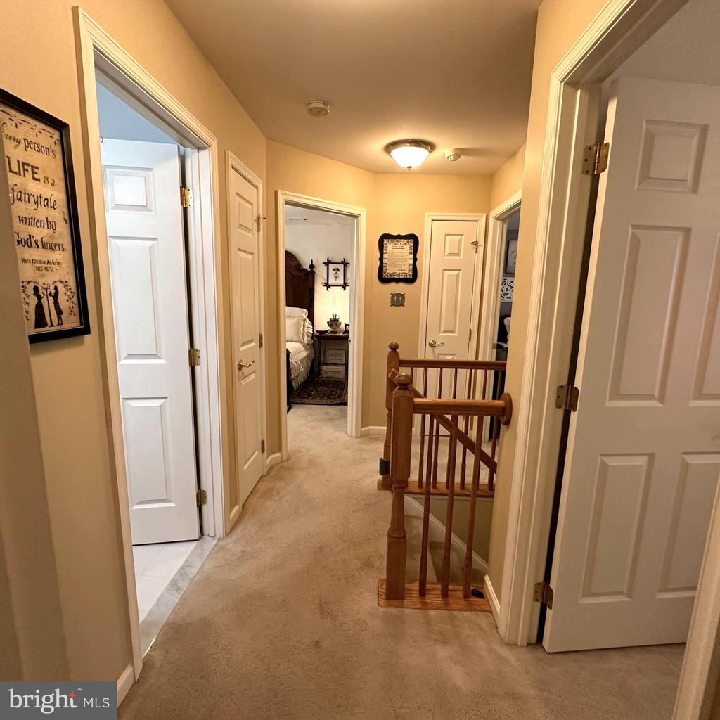 1736 CARRERA DRIVE
