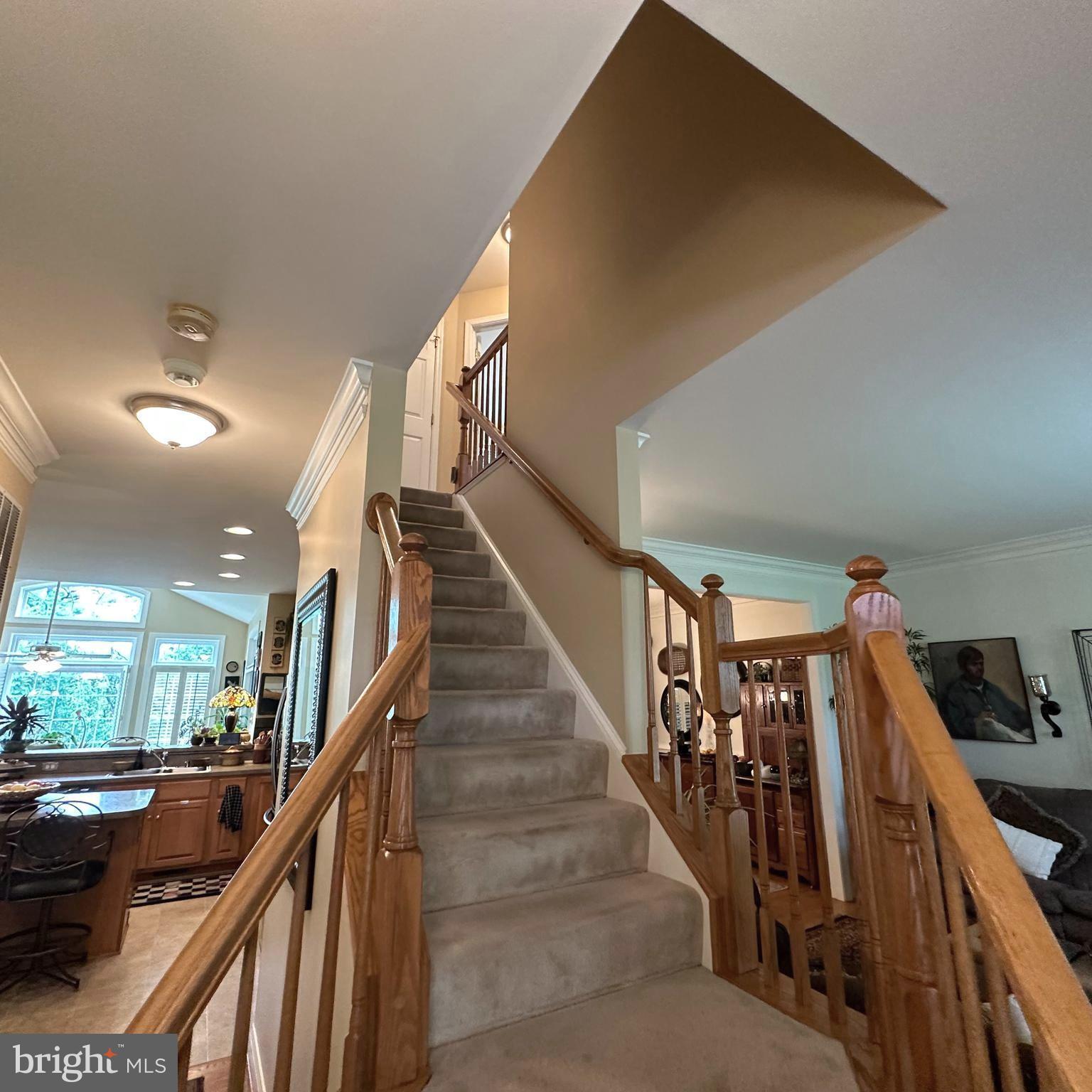 1736 CARRERA DRIVE