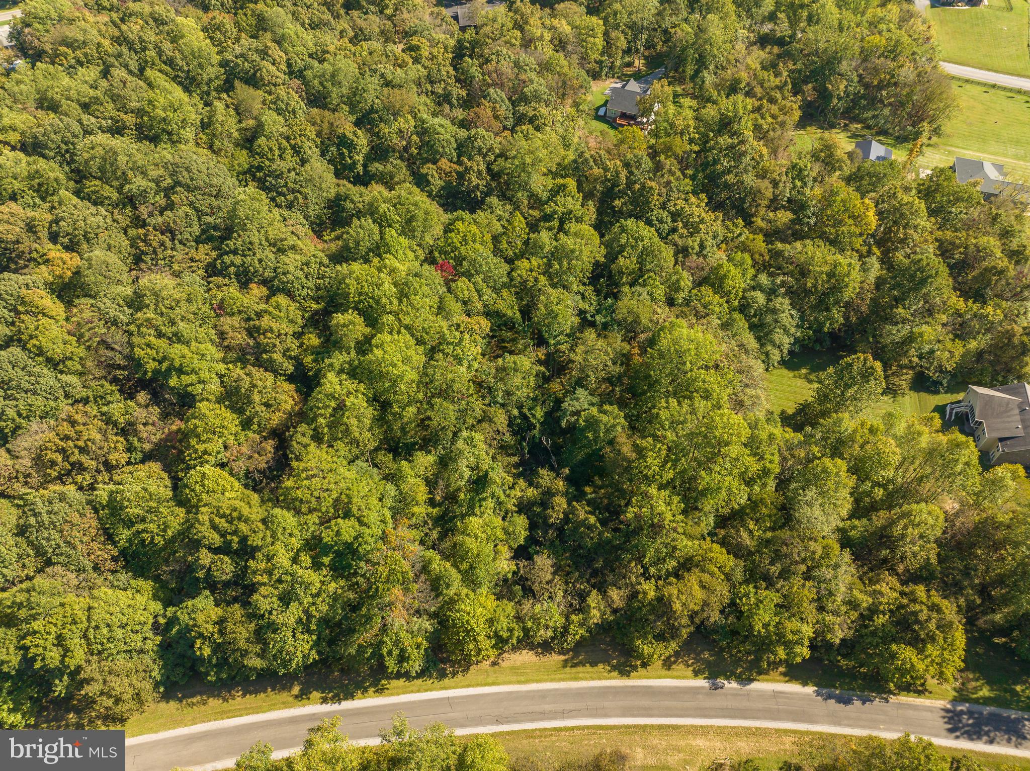 Lot 53 Sharpsburg Ct