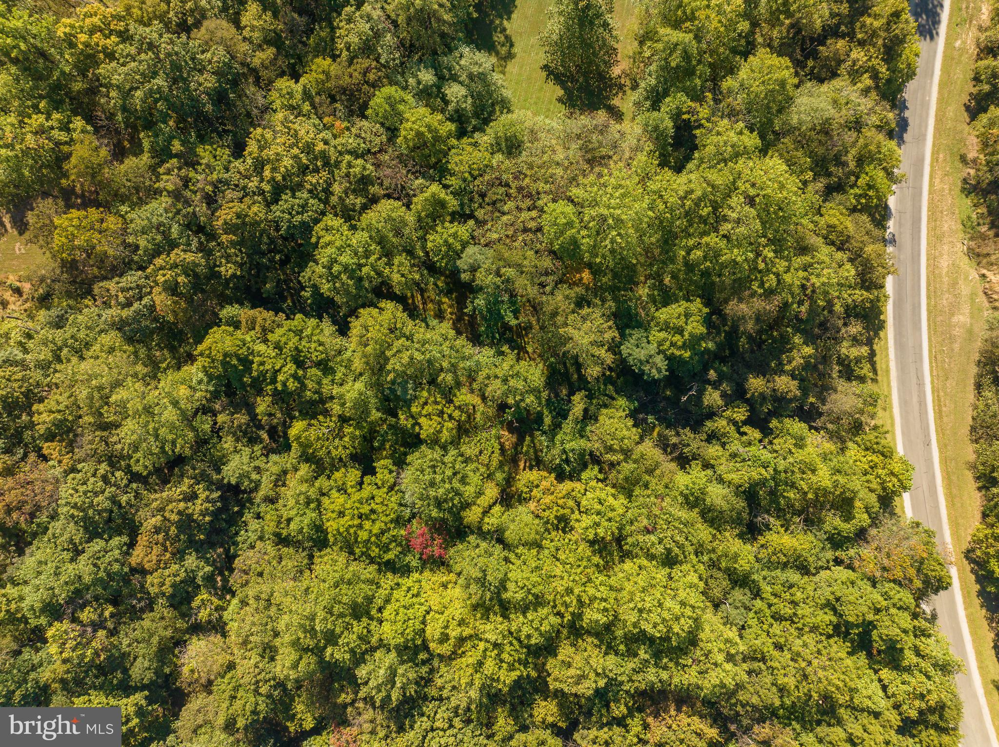 Lot 53 Sharpsburg Ct