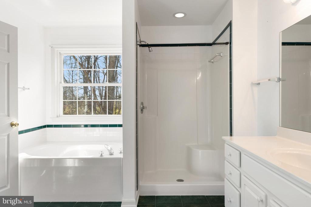238 BEAUTIFUL COURT
