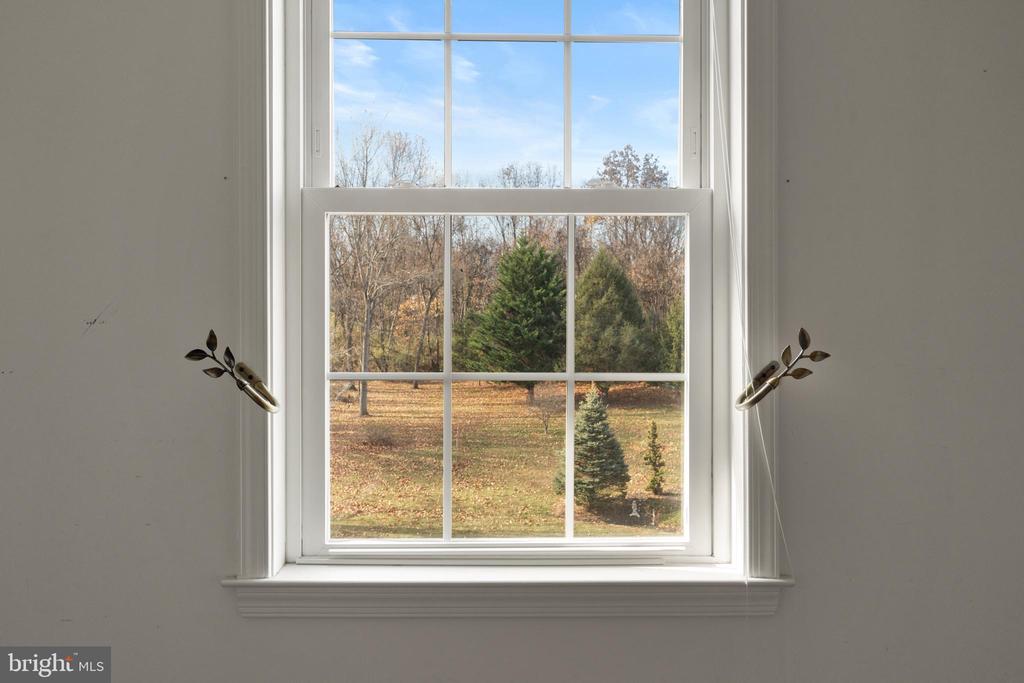238 BEAUTIFUL COURT