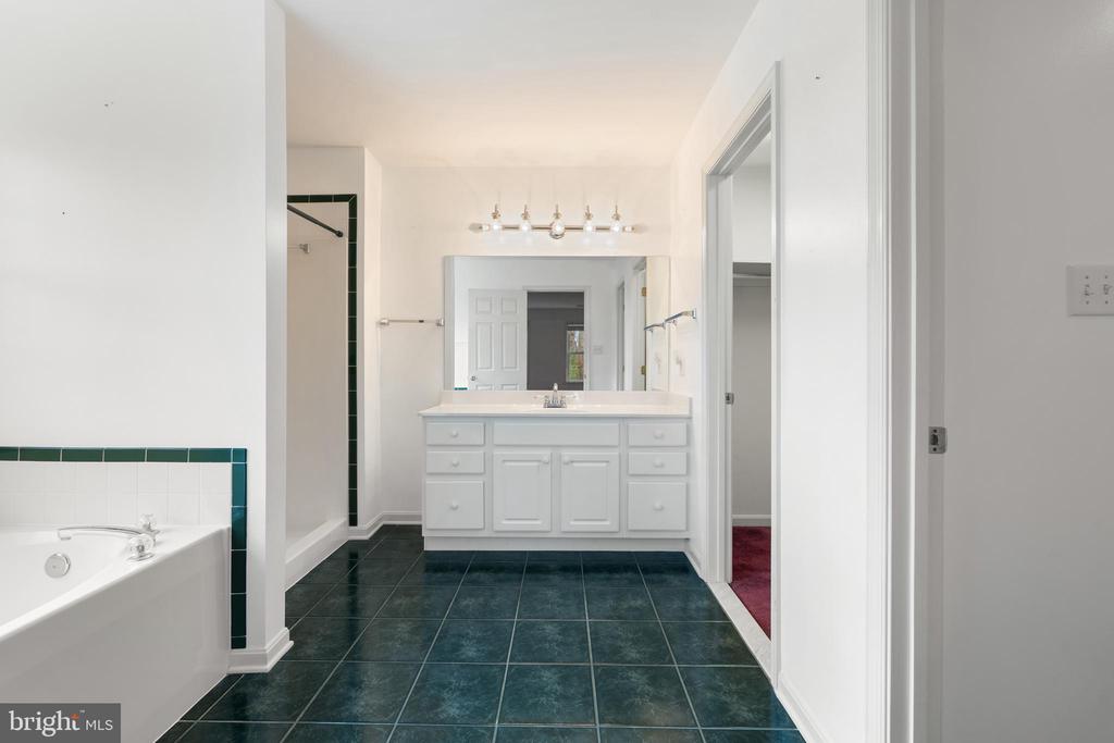 238 BEAUTIFUL COURT