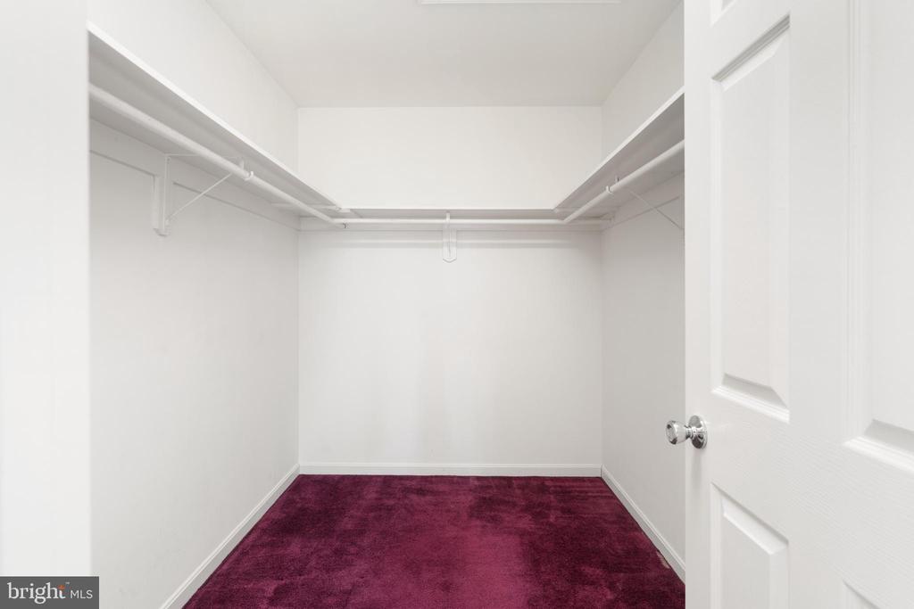 238 BEAUTIFUL COURT