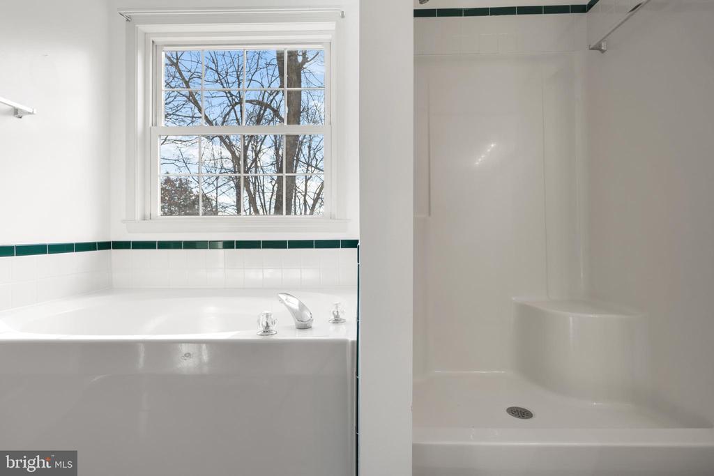238 BEAUTIFUL COURT