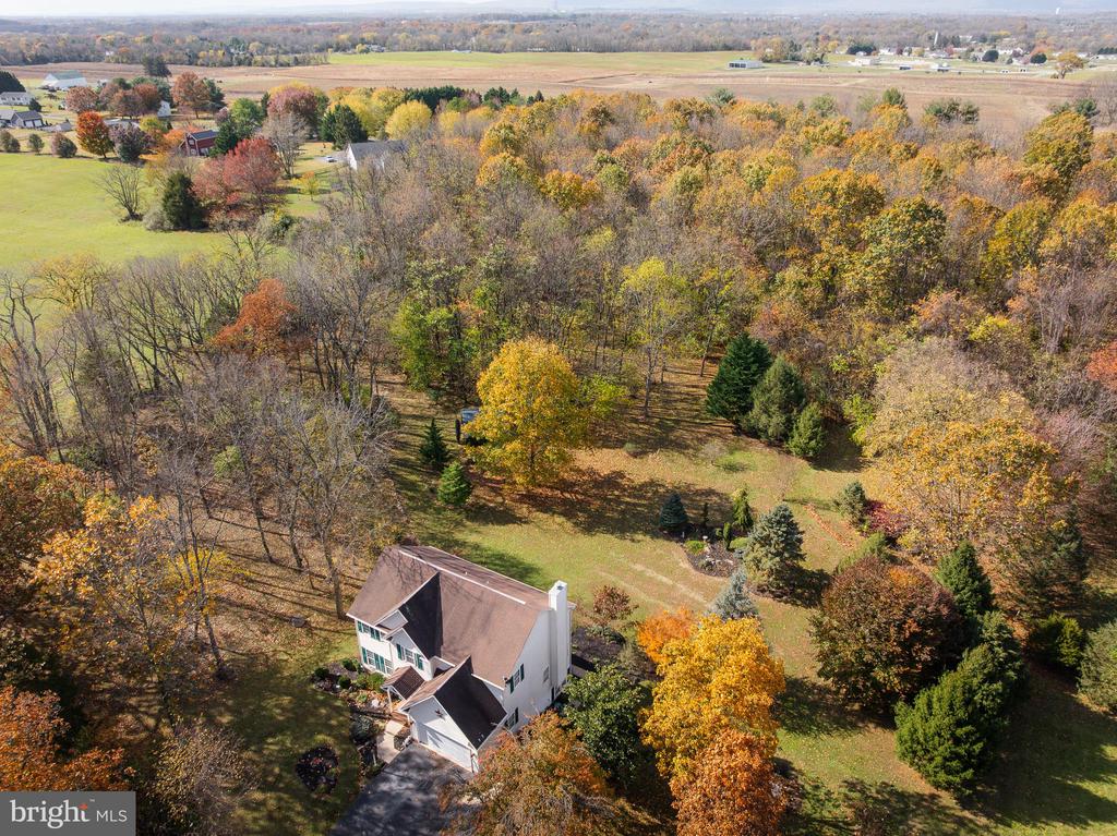 238 BEAUTIFUL COURT