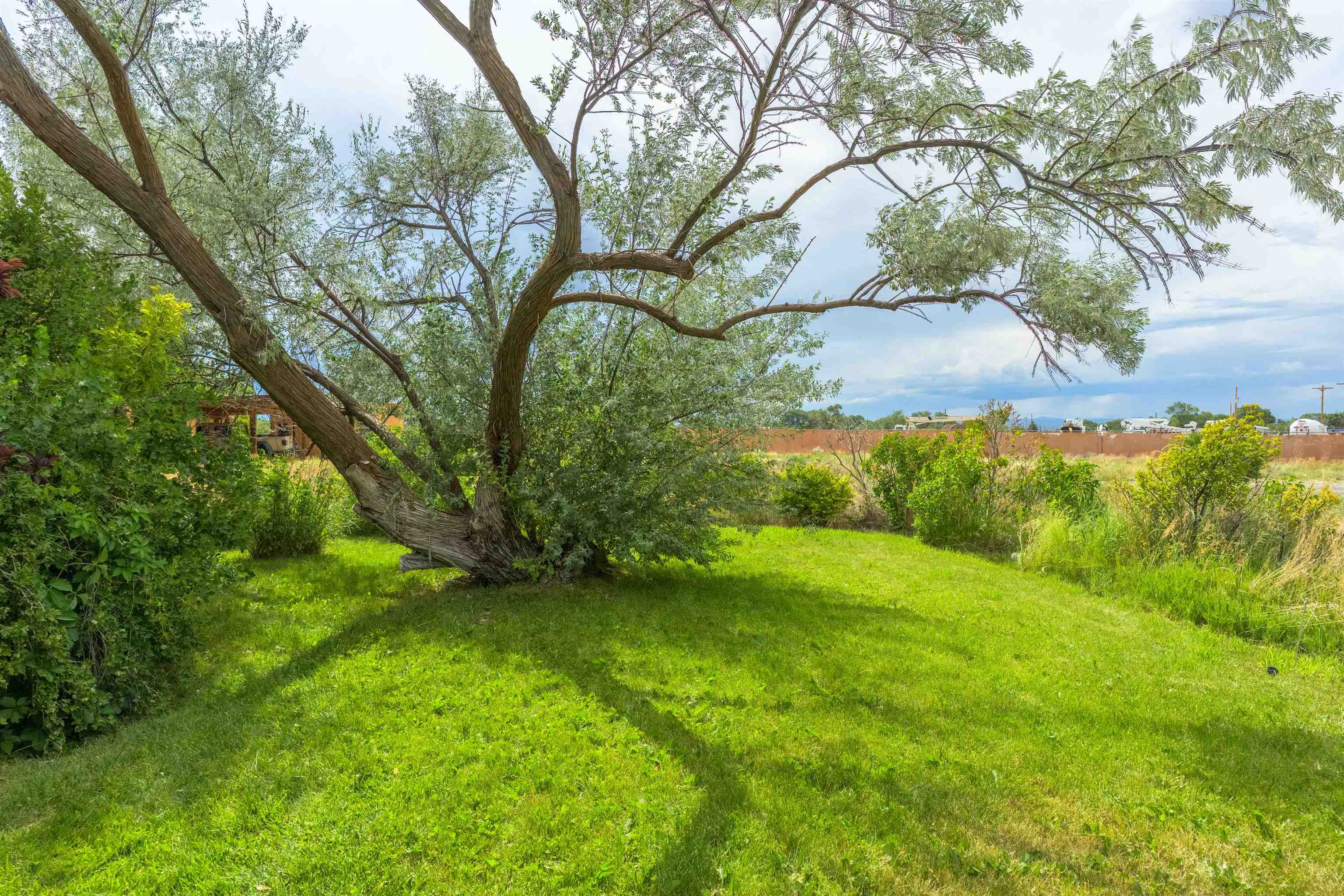 128 Dona Ana Unit: 215