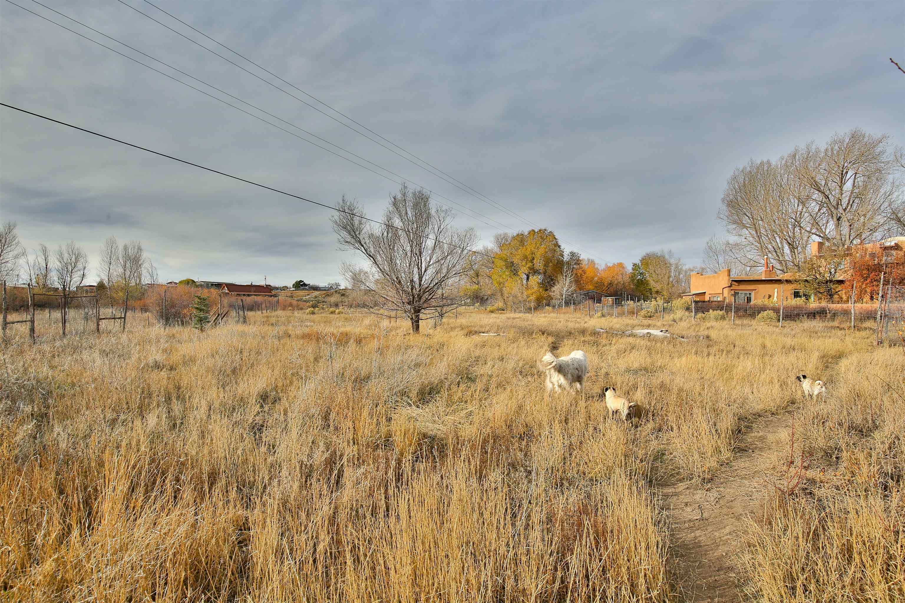 264 State Highway 150