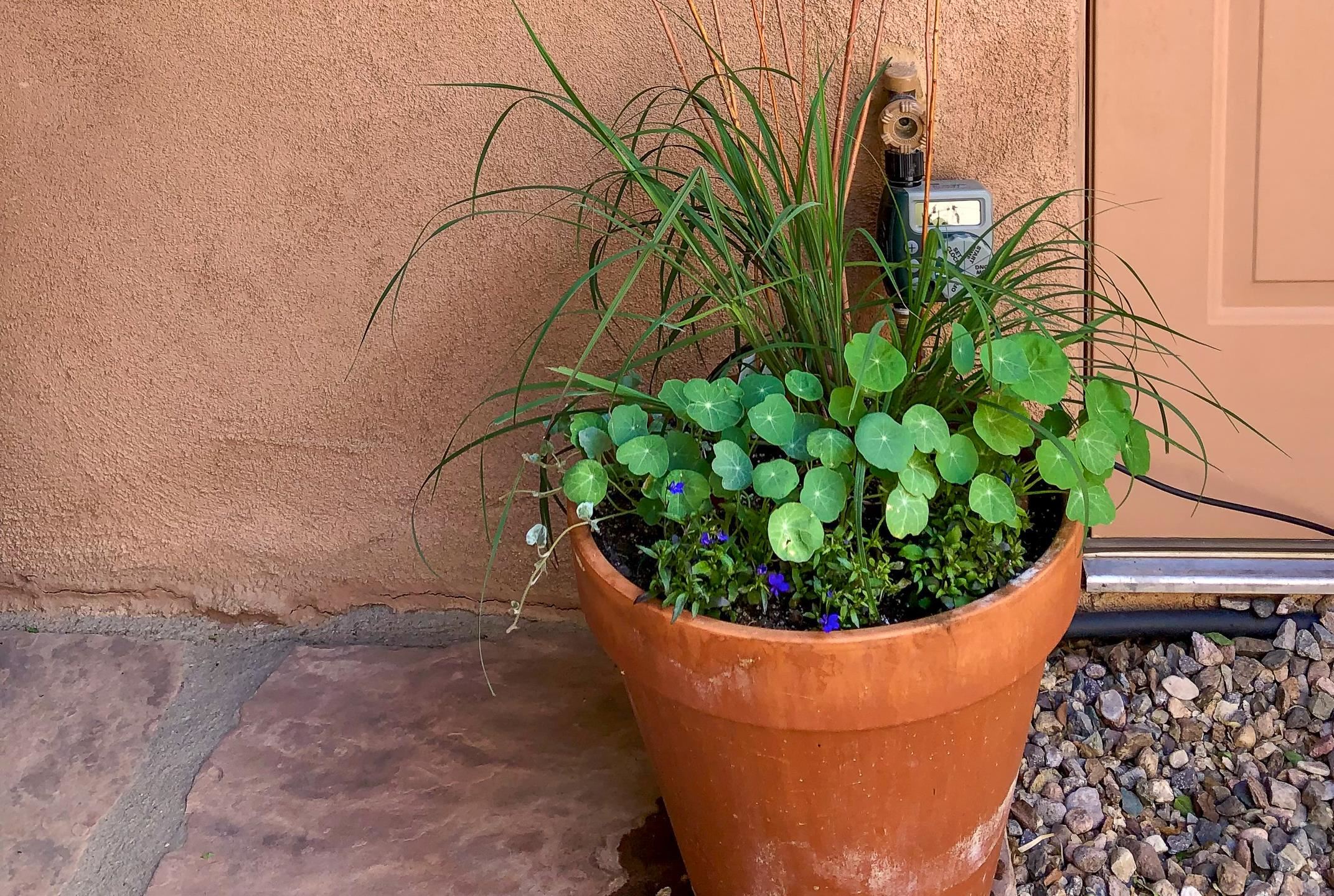 518 Dolan Street Unit: F