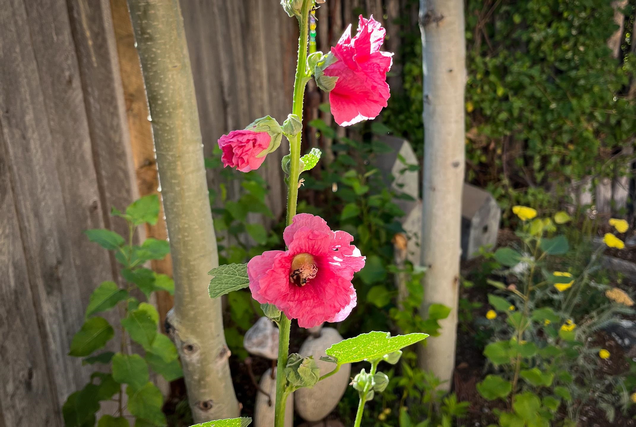 518 Dolan Street Unit: F