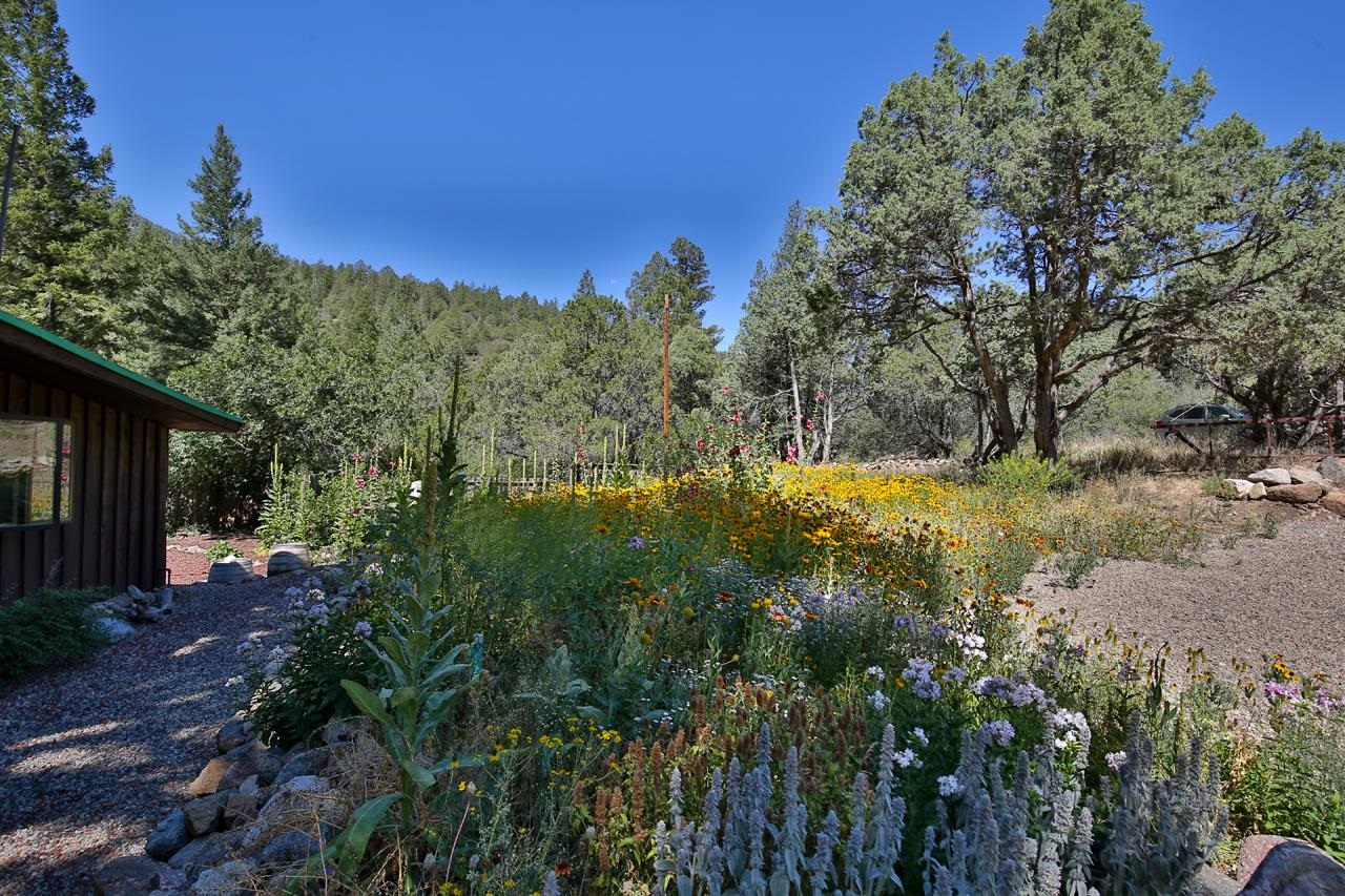 443 Cabresto Creek Road