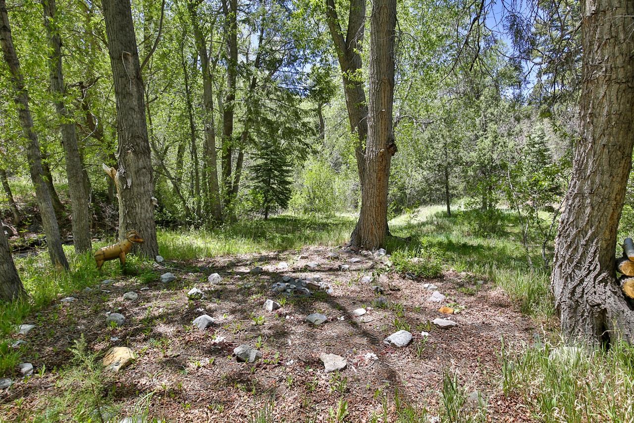443 Cabresto Creek Road