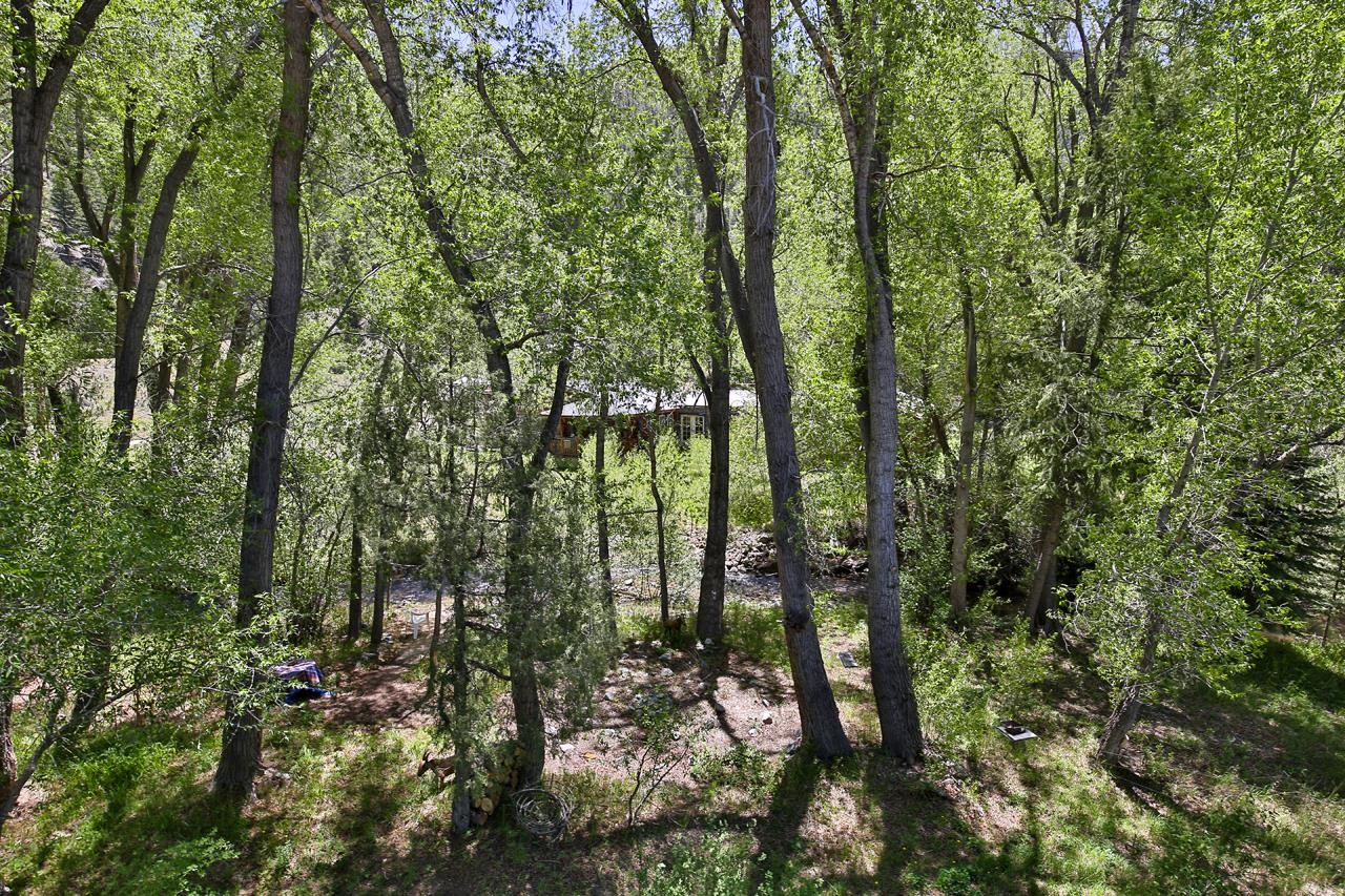 443 Cabresto Creek Road