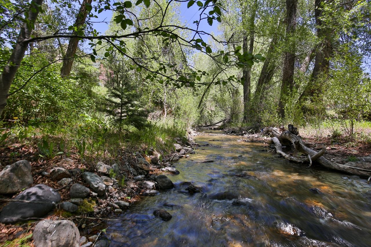 443 Cabresto Creek Road