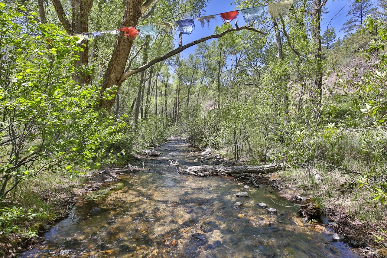 443 Cabresto Creek Road