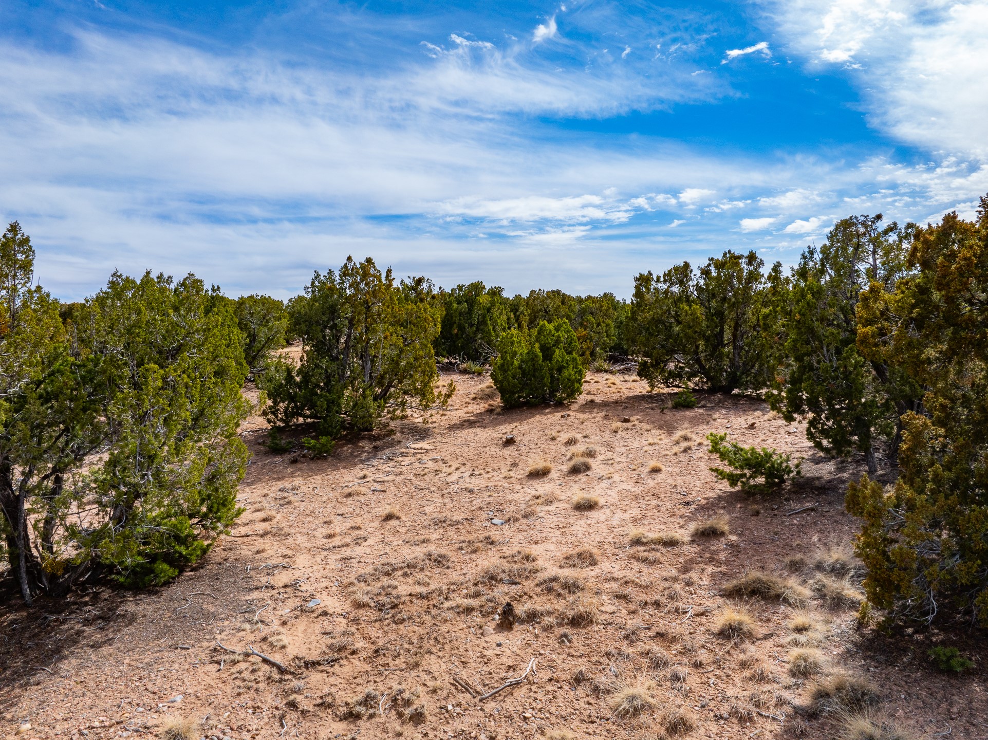 100 Paseo Del Conejo