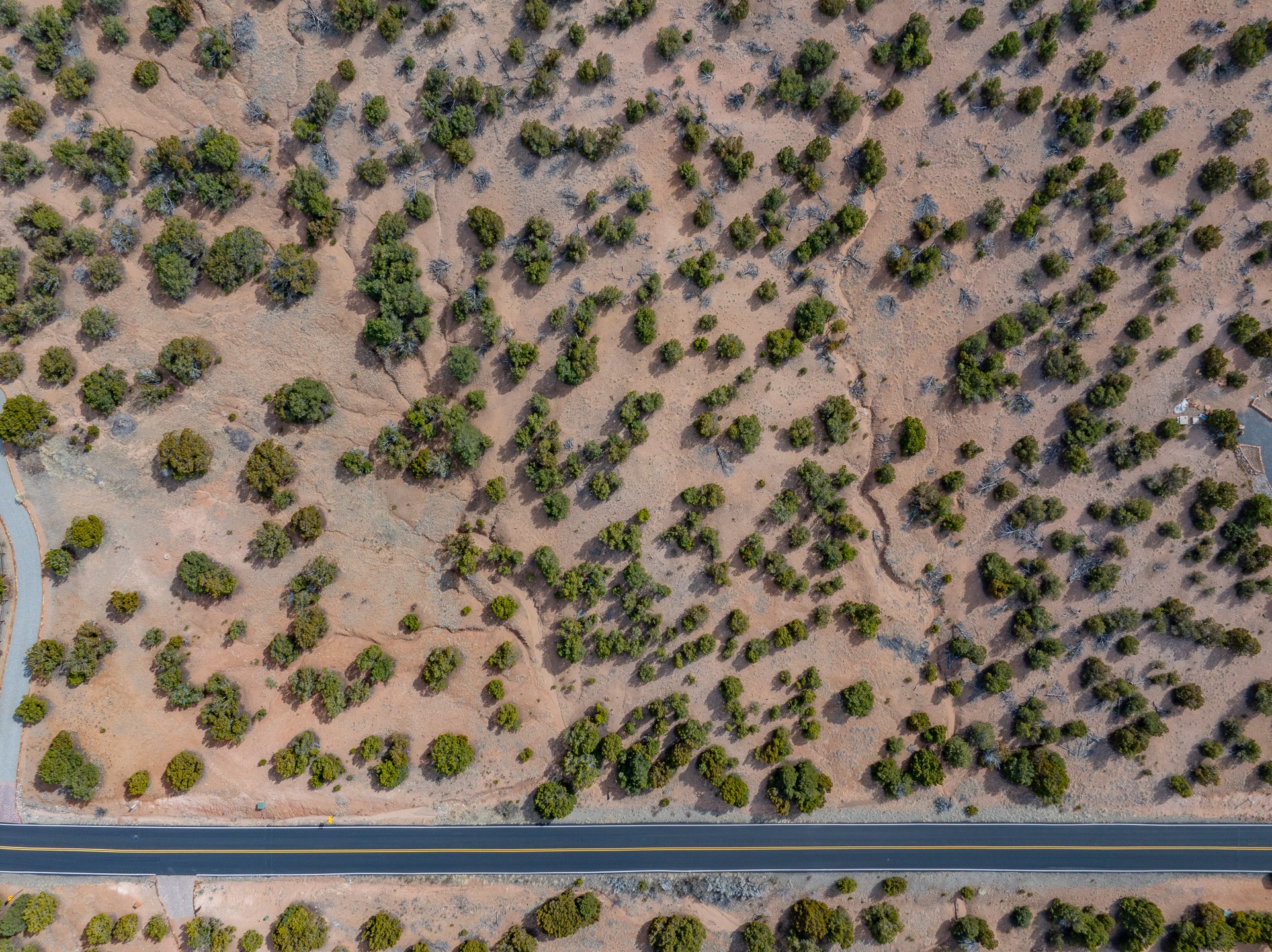 100 Paseo Del Conejo