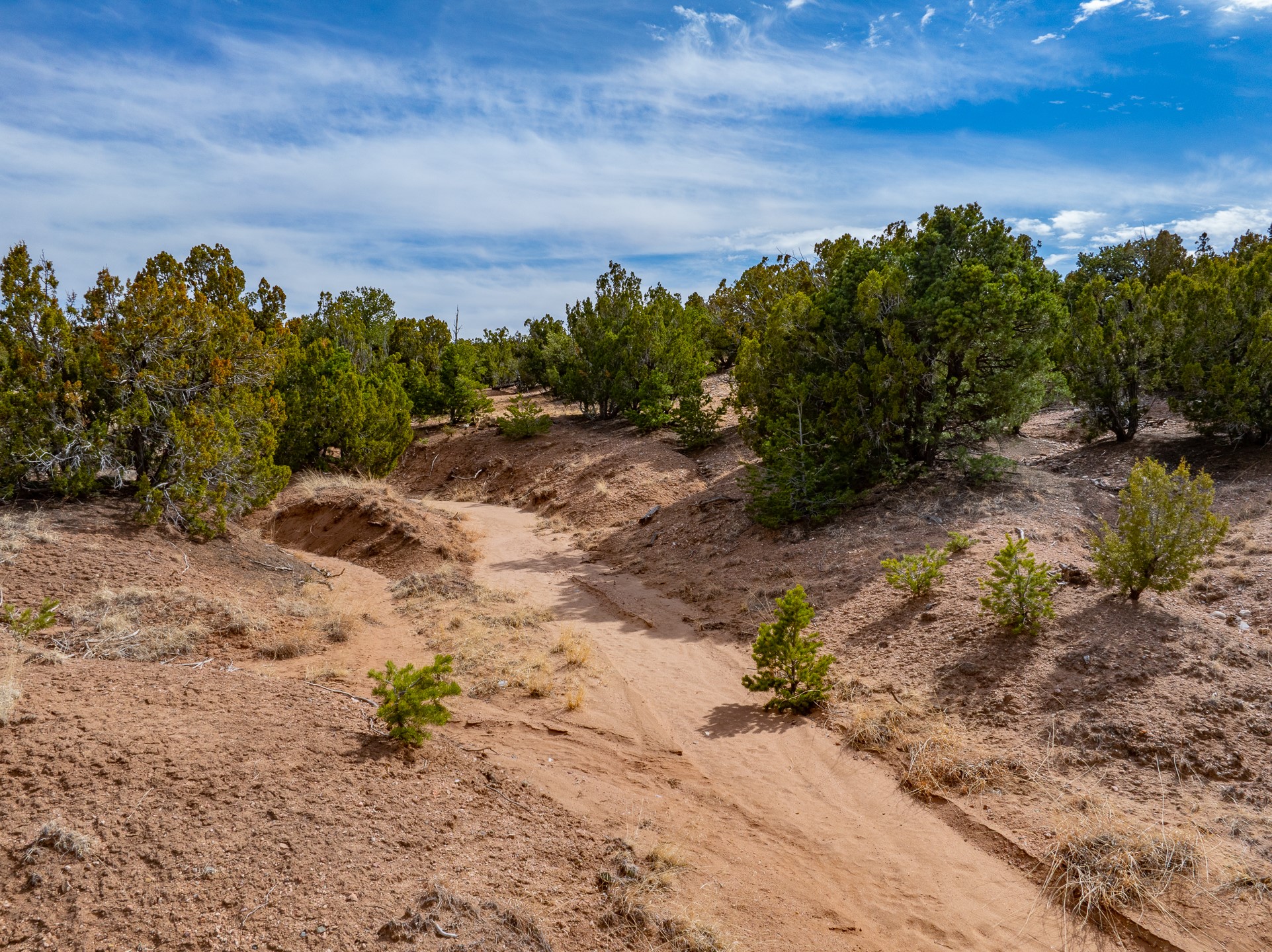 100 Paseo Del Conejo