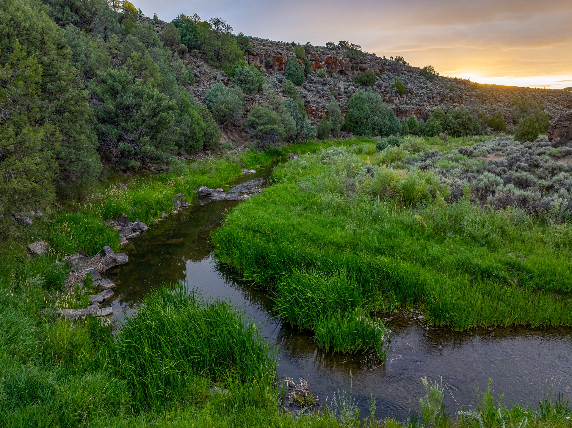 Ranchos de Taos