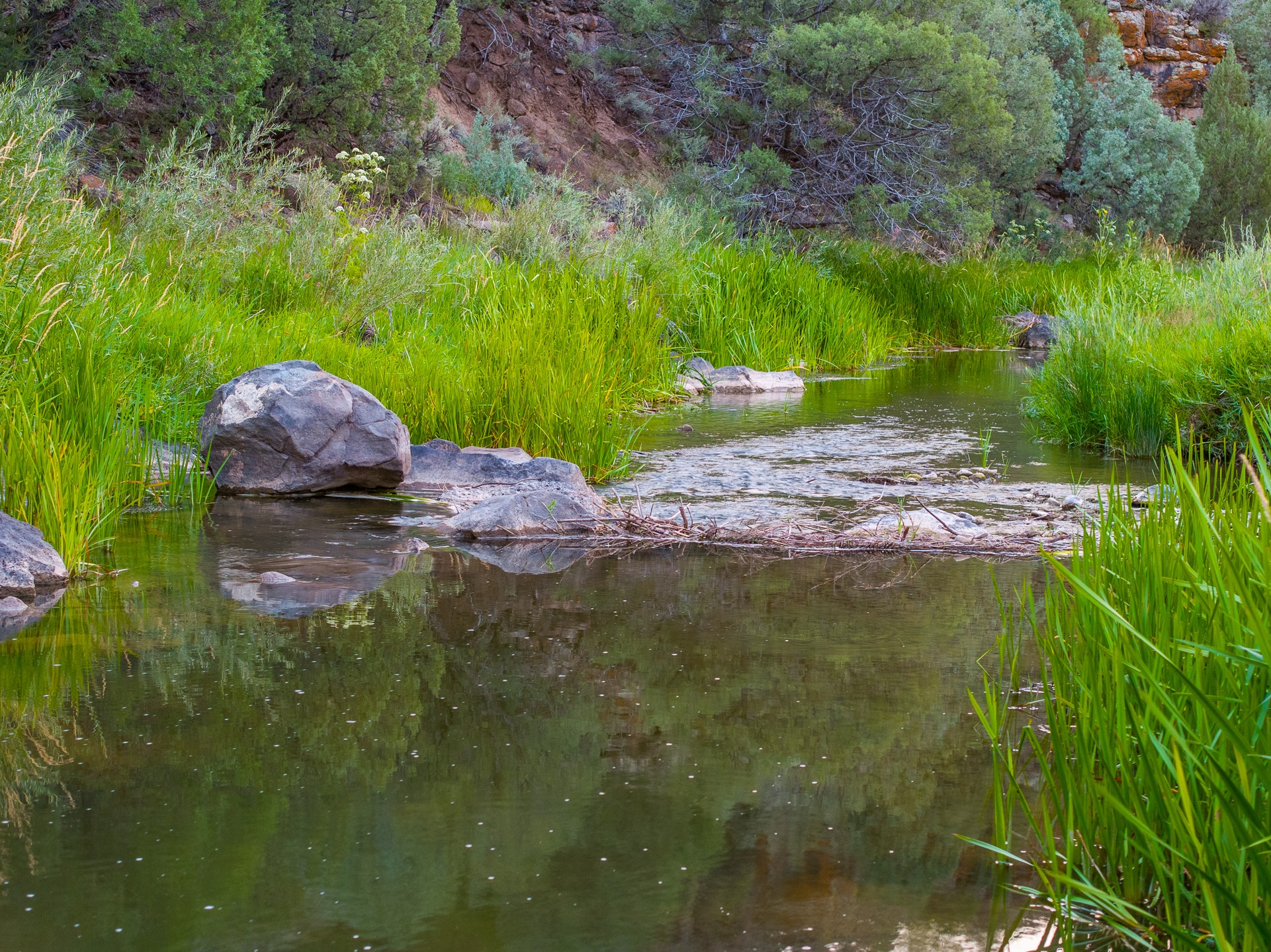 Ranchos de Taos