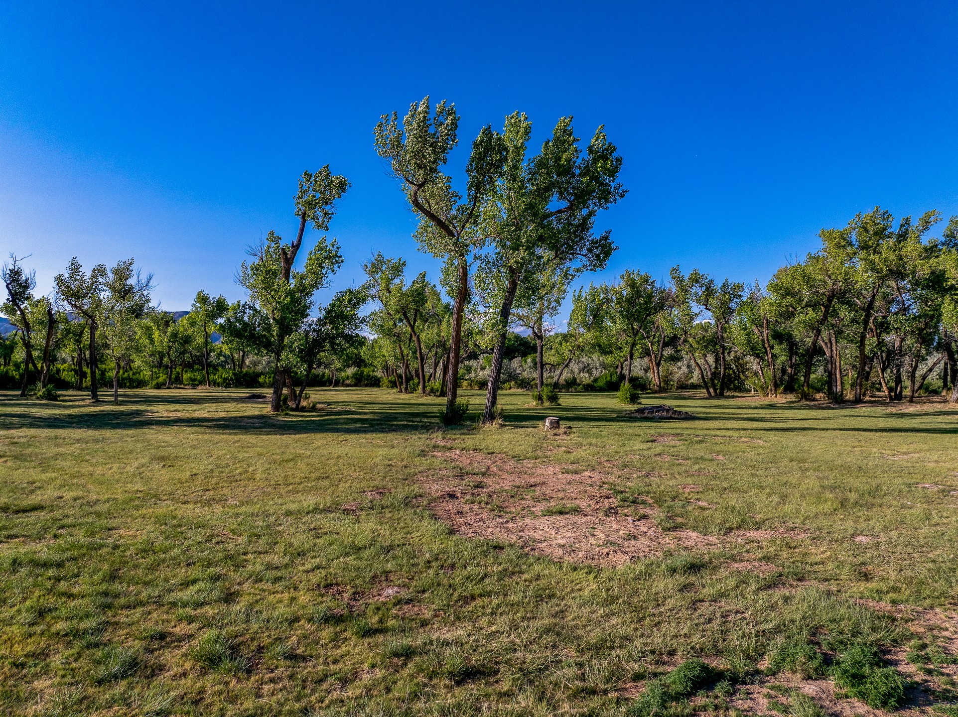 20658 Highway 84