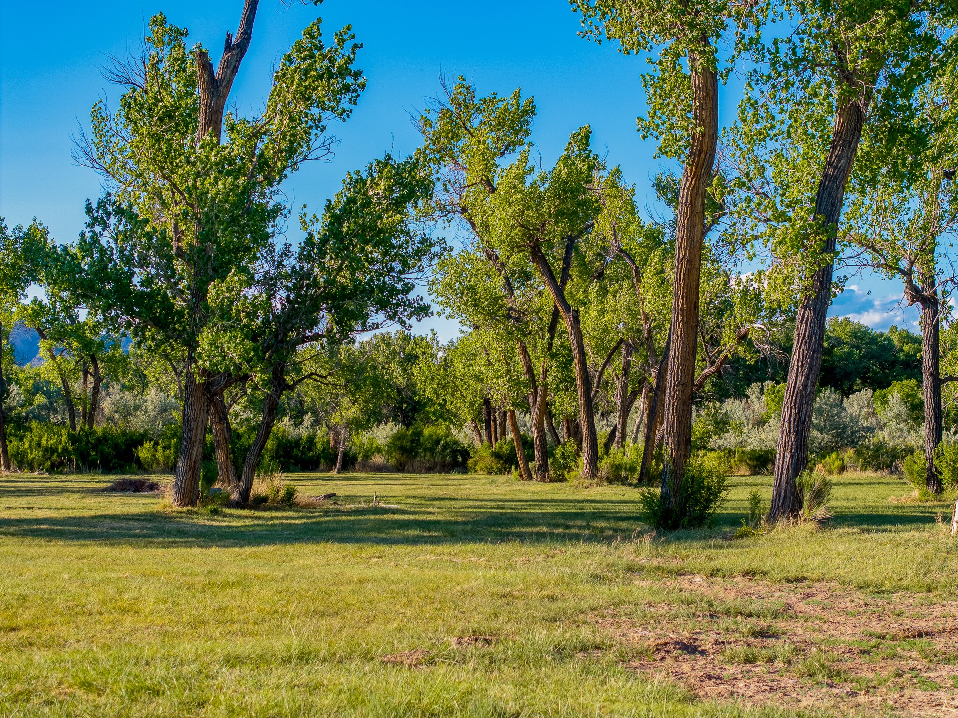 20658 Highway 84