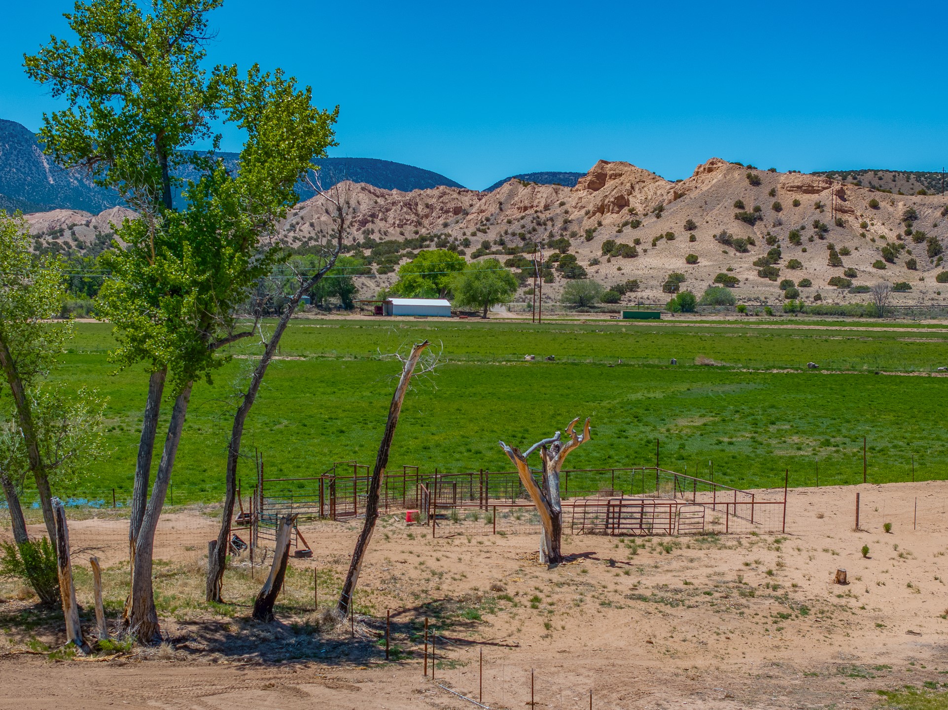 20590 US Hwy 84