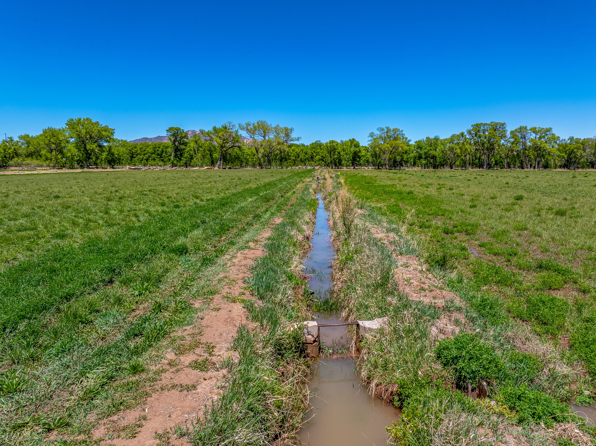 20590 US Hwy 84