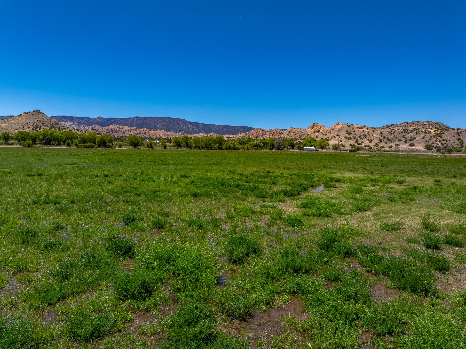 20590 US Hwy 84